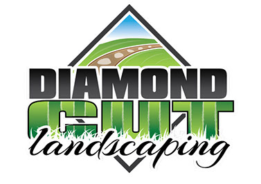 Professional Logo Design | High Quality Branding Service In New York